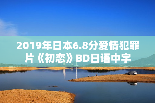 2019年日本6.8分爱情犯罪片《初恋》BD日语中字