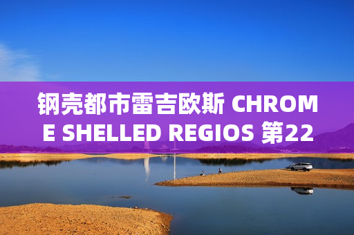 钢壳都市雷吉欧斯 CHROME SHELLED REGIOS 第22话