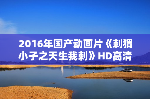 2016年国产动画片《刺猬小子之天生我刺》HD高清国语中字