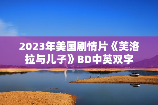 2023年美国剧情片《芙洛拉与儿子》BD中英双字