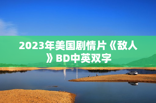 2023年美国剧情片《敌人》BD中英双字