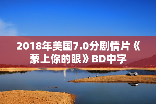 2018年美国7.0分剧情片《蒙上你的眼》BD中字