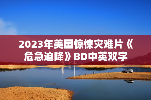 2023年美国惊悚灾难片《危急迫降》BD中英双字