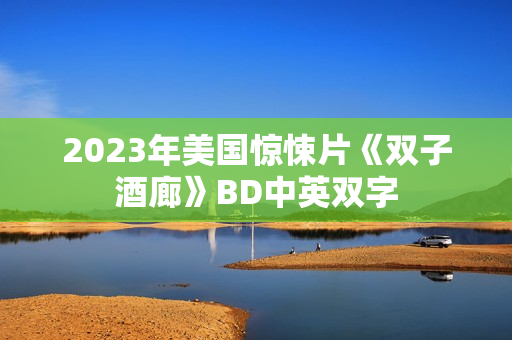 2023年美国惊悚片《双子酒廊》BD中英双字