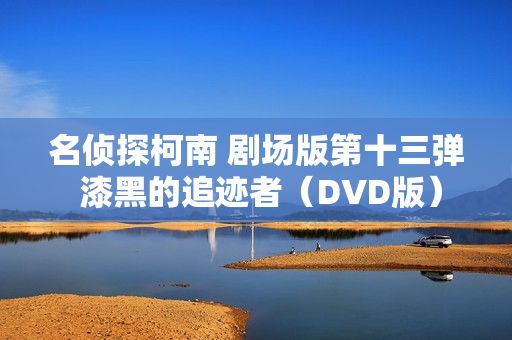 名侦探柯南 剧场版第十三弹 漆黑的追迹者（DVD版）