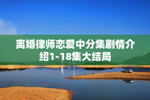 离婚律师恋爱中分集剧情介绍1-18集大结局