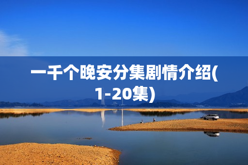 一千个晚安分集剧情介绍(1-20集)