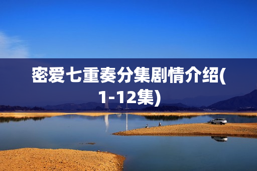 密爱七重奏分集剧情介绍(1-12集)