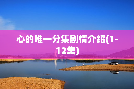 心的唯一分集剧情介绍(1-12集)