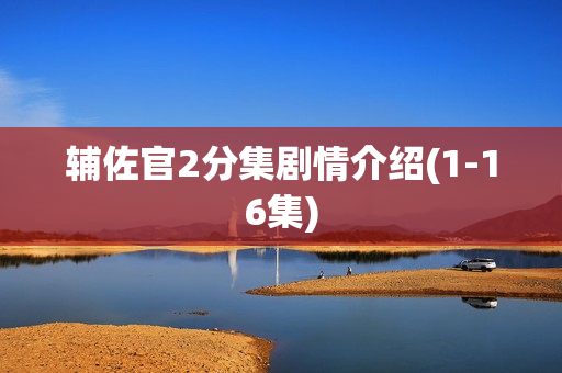 辅佐官2分集剧情介绍(1-16集)