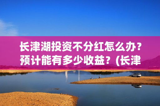 长津湖投资不分红怎么办？预计能有多少收益？(长津湖投资才5亿和13亿)