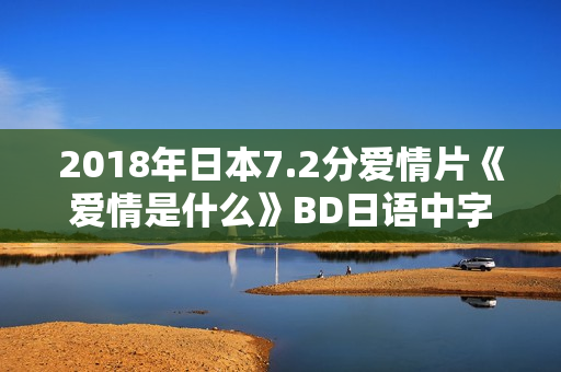 2018年日本7.2分爱情片《爱情是什么》BD日语中字