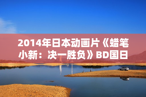 2014年日本动画片《蜡笔小新：决一胜负》BD国日双语中字