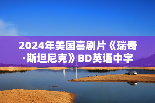 2024年美国喜剧片《瑞奇·斯坦尼克》BD英语中字