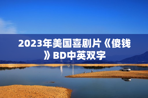 2023年美国喜剧片《傻钱》BD中英双字