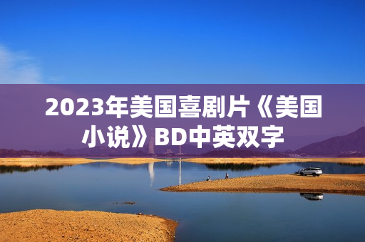 2023年美国喜剧片《美国小说》BD中英双字