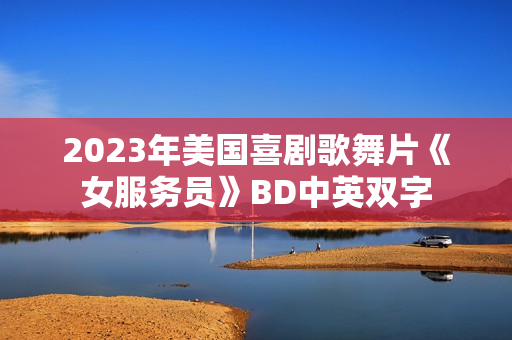 2023年美国喜剧歌舞片《女服务员》BD中英双字