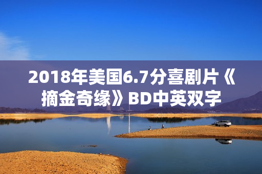2018年美国6.7分喜剧片《摘金奇缘》BD中英双字