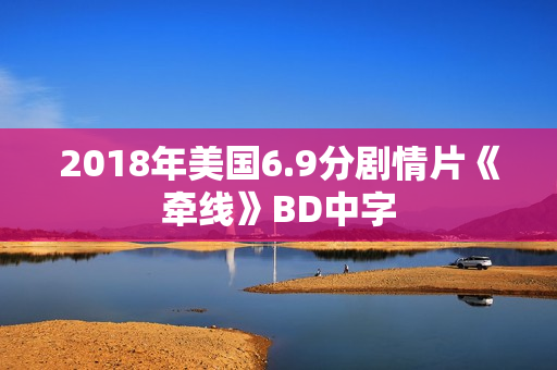 2018年美国6.9分剧情片《牵线》BD中字