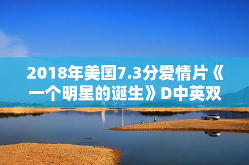 2018年美国7.3分爱情片《一个明星的诞生》D中英双字