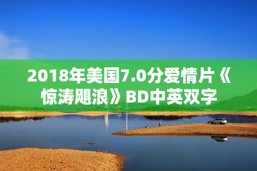 2018年美国7.0分爱情片《惊涛飓浪》BD中英双字