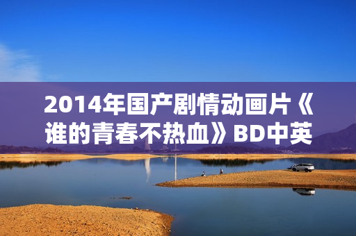 2014年国产剧情动画片《谁的青春不热血》BD中英双字