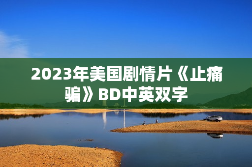 2023年美国剧情片《止痛骗》BD中英双字 2023年美国剧情片《止痛骗》BD中英双字