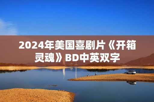 2024年美国喜剧片《开箱灵魂》BD中英双字