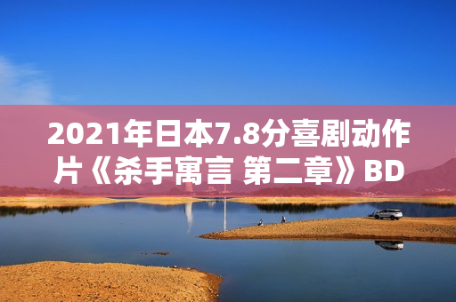 2021年日本7.8分喜剧动作片《杀手寓言 第二章》BD日语中字