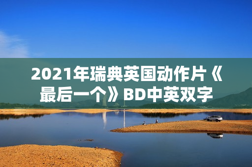 2021年瑞典英国动作片《最后一个》BD中英双字