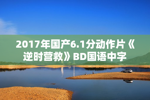 2017年国产6.1分动作片《逆时营救》BD国语中字