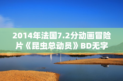 2014年法国7.2分动画冒险片《昆虫总动员》BD无字