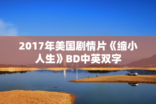 2017年美国剧情片《缩小人生》BD中英双字