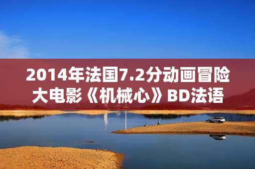 2014年法国7.2分动画冒险大电影《机械心》BD法语中字