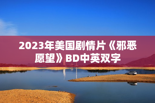 2023年美国剧情片《邪恶愿望》BD中英双字