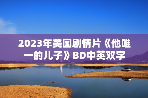 2023年美国剧情片《他唯一的儿子》BD中英双字