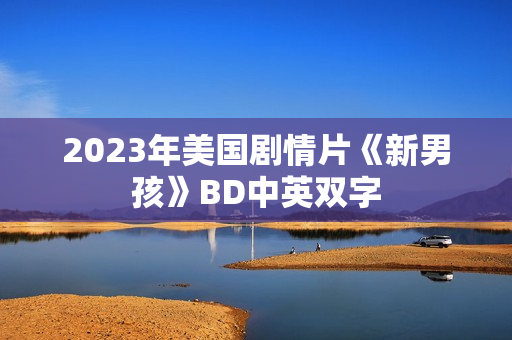 2023年美国剧情片《新男孩》BD中英双字