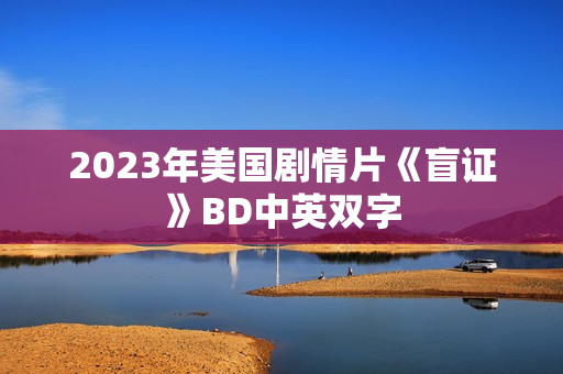 2023年美国剧情片《盲证》BD中英双字