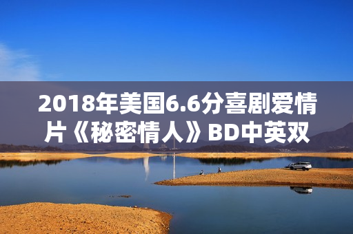 2018年美国6.6分喜剧爱情片《秘密情人》BD中英双字