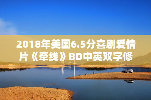 2018年美国6.5分喜剧爱情片《牵线》BD中英双字修复