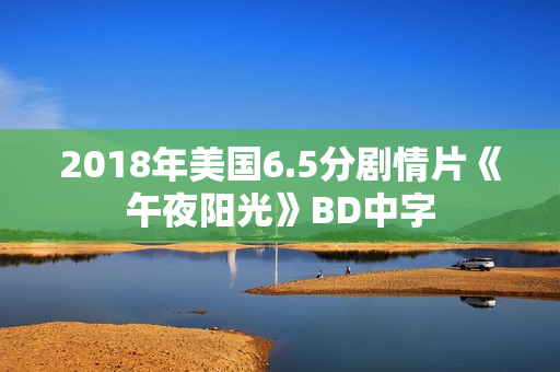 2018年美国6.5分剧情片《午夜阳光》BD中字
