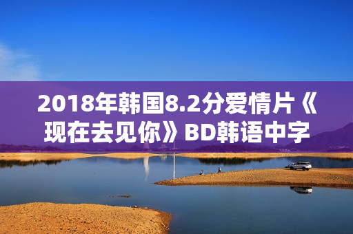 2018年韩国8.2分爱情片《现在去见你》BD韩语中字