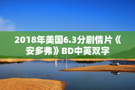 2018年美国6.3分剧情片《安多弗》BD中英双字