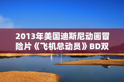 2013年美国迪斯尼动画冒险片《飞机总动员》BD双语双字