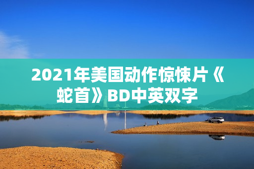 2021年美国动作惊悚片《蛇首》BD中英双字