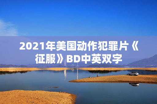 2021年美国动作犯罪片《征服》BD中英双字