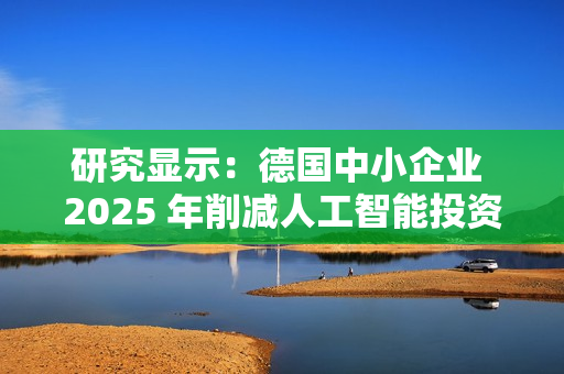 研究显示：德国中小企业 2025 年削减人工智能投资