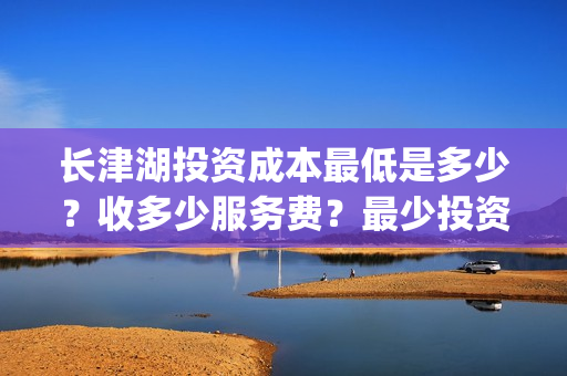 长津湖投资成本最低是多少？收多少服务费？最少投资多少钱？(长津湖投资成本高吗)