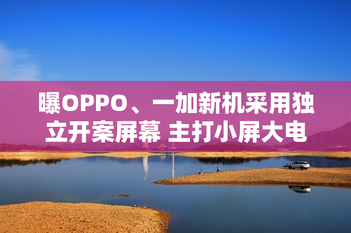 曝OPPO、一加新机采用独立开案屏幕 主打小屏大电池