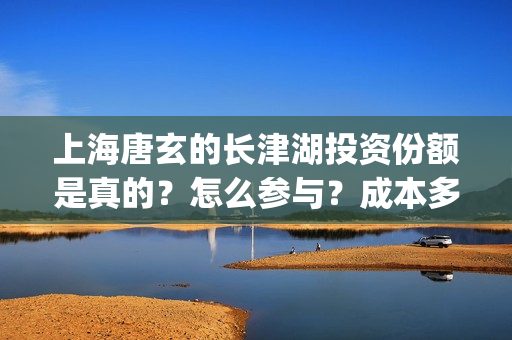 上海唐玄的长津湖投资份额是真的？怎么参与？成本多少？(长津湖 上海唐玄)
